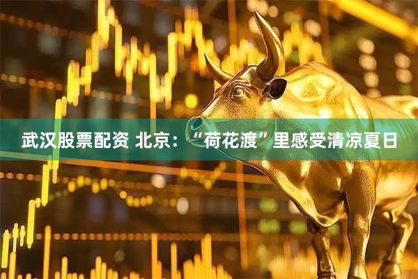 武汉股票配资 北京：“荷花渡”里感受清凉夏日